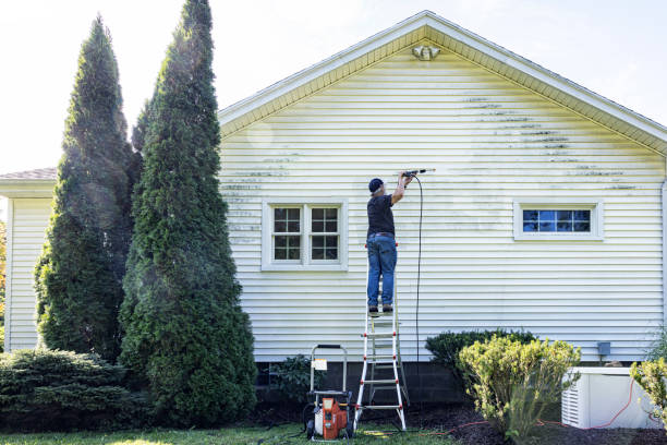 Best Window and Screen Pressure Cleaning in Douglass Hills, KY