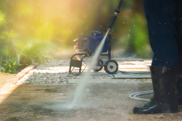 Best Roof Cleaning and Mildew Removal in Douglass Hills, KY